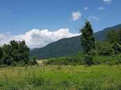 Satılır  obyekt 5 000 m², photo 5 from 8