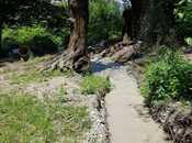 Satılır  obyekt 5 000 m², photo 7 from 8