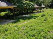 Satılır  obyekt 5 000 m², photo 6 from 8