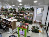 Объявление №6029602 - Баку, Наримановский  р., 85 м²