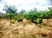 Satılır  torpaq 5.5 sot, Buzovna q., photo 2 from 4