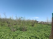 Продаётся  участок 18.5 сот, Хачмазский р., photo 3 from 5