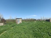 Продаётся  участок 18.5 сот, Хачмазский р., photo 5 from 5