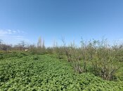 Продаётся  участок 18.5 сот, Хачмазский р., photo 1 from 5