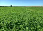 Объявление №6030989 - Гёйчай, Гёйчай, 326 сот