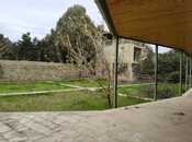 Satılır 1 otaqlı həyət evi/bağ evi 40 m², Şüvəlan q., photo 3 from 8