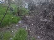 Satılır  torpaq 10 sot, Zirə q., photo 2 from 2