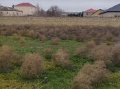 Satılır  torpaq 27.5 sot, Saray q., photo 8 from 8