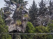 Продаётся 4-комн. дом/дача 89 м², пос. Маштаги, photo 6 from 8