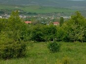 Elan №6032465 - Şabran, Şabran, 12 sot