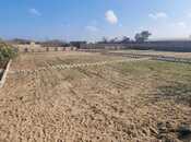 Продаётся  участок 12 сот, пос. Нардаран, photo 5 from 8