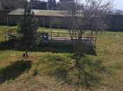 Satılır  torpaq 16 sot, Novxanı q., photo 5 from 8