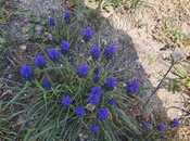 Satılır  torpaq 16 sot, Novxanı q., photo 7 from 8