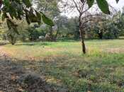 Продаётся  участок 25 сот, photo 6 from 8