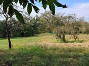 Продаётся  участок 25 сот, photo 8 from 8