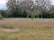 Продаётся  участок 25 сот, photo 5 from 8