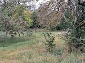 Продаётся  участок 25 сот, photo 7 from 8