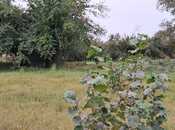 Продаётся  участок 25 сот, photo 3 from 8