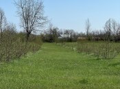 Продаётся  участок 58 сот, photo 3 from 8