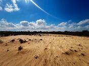 Satılır  torpaq 300 sot, Nardaran q., photo 2 from 7