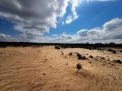 Satılır  torpaq 300 sot, Nardaran q., photo 4 from 7