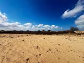 Satılır  torpaq 300 sot, Nardaran q., photo 7 from 7