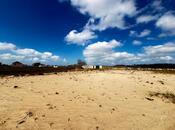 Satılır  torpaq 300 sot, Nardaran q., photo 3 from 7