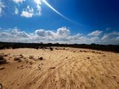 Satılır  torpaq 300 sot, Nardaran q., photo 6 from 7