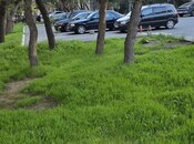 Satılır 3 otaqlı köhnə tikili 65 m², Memar Əcəmi m., photo 1 from 8