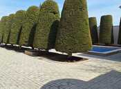 Satılır 7 otaqlı həyət evi/bağ evi 400 m², Novxanı q., photo 4 from 8