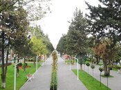 Satılır 3 otaqlı köhnə tikili 60 m², Nərimanov r., photo 3 from 8