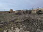 Продаётся  участок 10 сот, пос. Пиршаги, photo 5 from 8