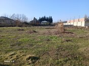 Elan №6035162 - Masallı, Masallı, 74 sot