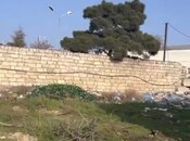 Объявление №6035248 - Баку, пос. Аг шехер, 15.3 сот