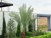 Сдаётся 5-комн. дом/дача 450 м², пос. Бильгях, photo 5 from 8