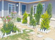 Satılır 5 otaqlı həyət evi/bağ evi 145 m², Buzovna q., photo 2 from 8