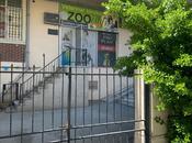 Сдаётся  объект 40 м², м. Иншаатчылар, photo 1 from 8