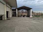 Elan №6036493 - Yevlax, Yevlax, 1500 m²