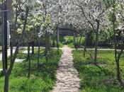 Продаётся  участок 20 сот, м. Насими, photo 5 from 8