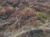 Продаётся  участок 6 сот, пос. Сулутепе, photo 4 from 4