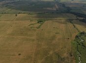 Объявление №6037412 - Шеки, Шеки, 1000 сот