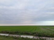 Elan №6037609 - Şabran, Şabran, 540 sot