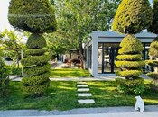 6-комн. дом/дача - пос. Мардакан - 500 м²