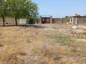 Elan №6038024 - Bakı, Qala q., 60 sot