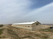 Elan №6038047 - Bakı, Müşfiqabad q., 7000 m²