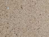 Объявление №6038107 - Губа, Губа, 2000 сот