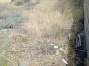 Satılır  torpaq 6.2 sot, Badamdar q., photo 2 from 4