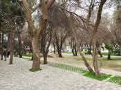 Продаётся 3-комн. вторичка 80 м², м. Ази Асланов, photo 5 from 8