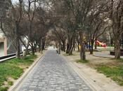 Продаётся 3-комн. вторичка 80 м², м. Ази Асланов, photo 7 from 8