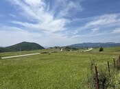 Torpaq - Şamaxı - 200 sot